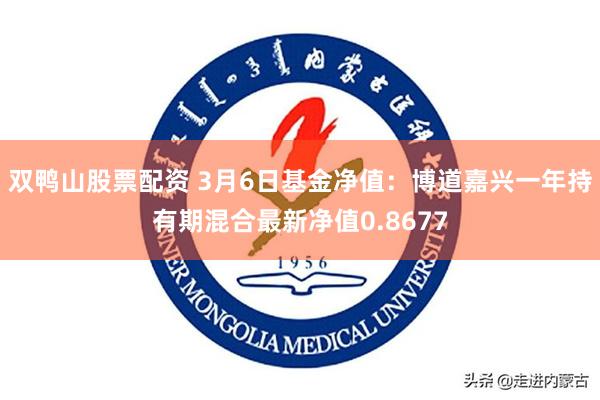 双鸭山股票配资 3月6日基金净值：博道嘉兴一年持有期混合最新净值0.8677