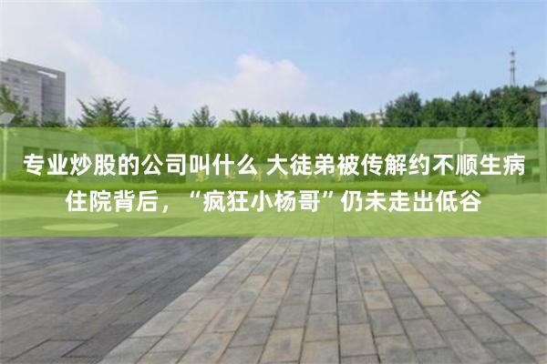 专业炒股的公司叫什么 大徒弟被传解约不顺生病住院背后，“疯狂小杨哥”仍未走出低谷