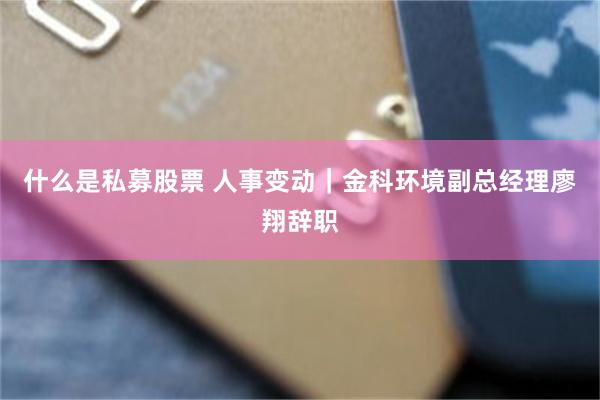 什么是私募股票 人事变动｜金科环境副总经理廖翔辞职