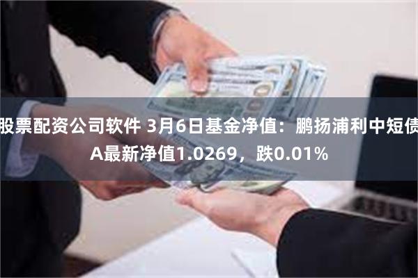 股票配资公司软件 3月6日基金净值：鹏扬浦利中短债A最新净值1.0269，跌0.01%