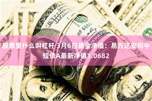 股票里什么叫杠杆 3月6日基金净值：易方达安和中短债A最新净值1.0682