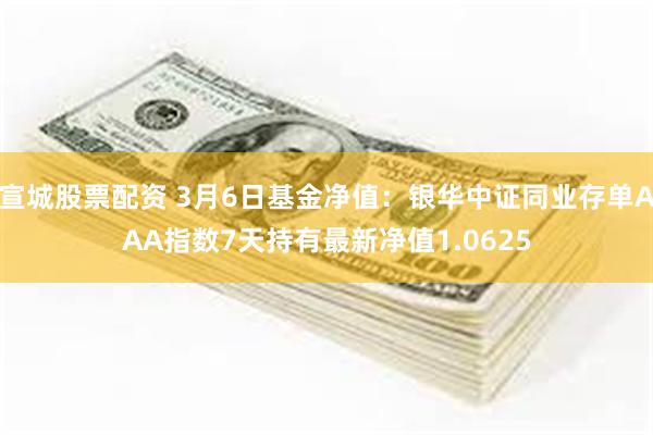 宣城股票配资 3月6日基金净值：银华中证同业存单AAA指数7天持有最新净值1.0625