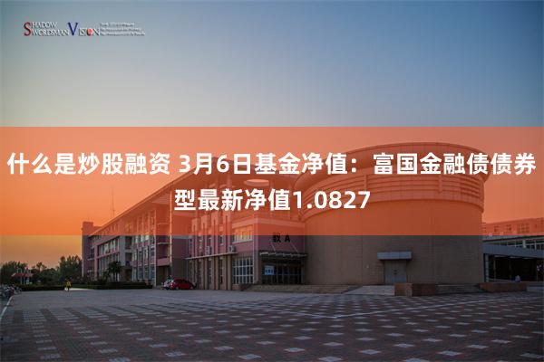 什么是炒股融资 3月6日基金净值：富国金融债债券型最新净值1.0827