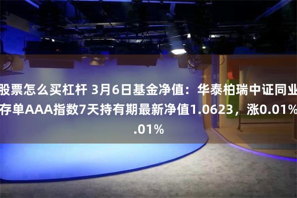 股票怎么买杠杆 3月6日基金净值：华泰柏瑞中证同业存单AAA指数7天持有期最新净值1.0623，涨0.01%