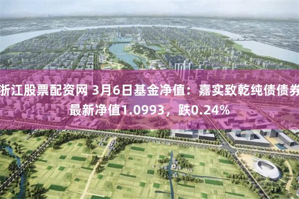 浙江股票配资网 3月6日基金净值：嘉实致乾纯债债券最新净值1.0993，跌0.24%