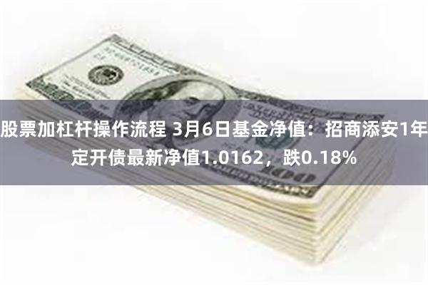 股票加杠杆操作流程 3月6日基金净值：招商添安1年定开债最新净值1.0162，跌0.18%