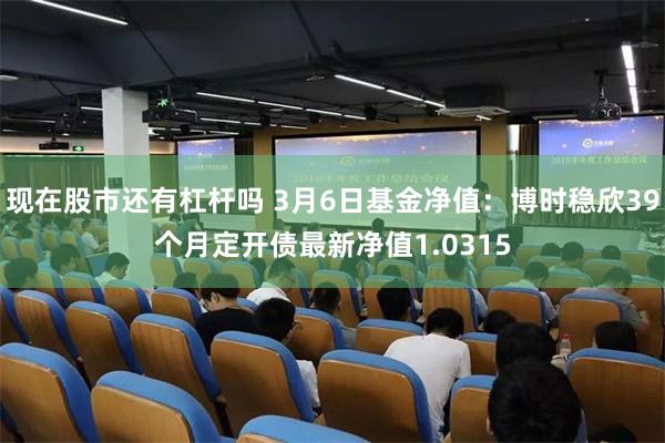 现在股市还有杠杆吗 3月6日基金净值：博时稳欣39个月定开债最新净值1.0315