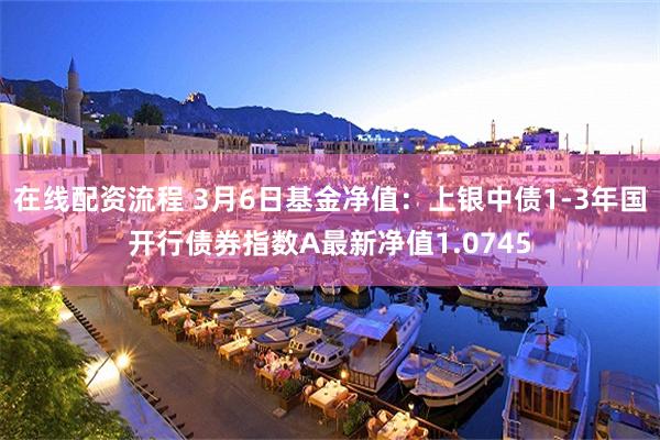 在线配资流程 3月6日基金净值：上银中债1-3年国开行债券指数A最新净值1.0745