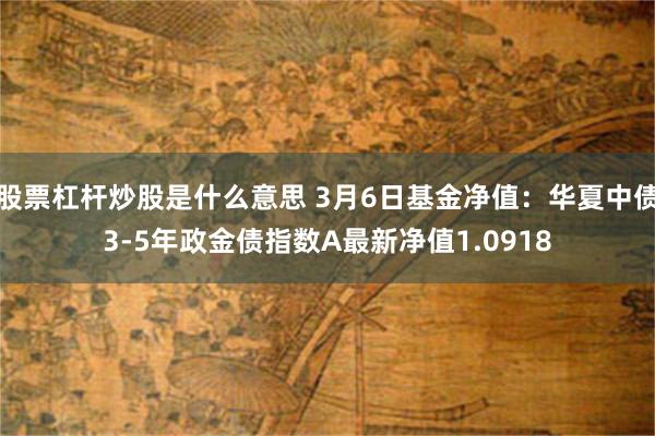 股票杠杆炒股是什么意思 3月6日基金净值：华夏中债3-5年政金债指数A最新净值1.0918