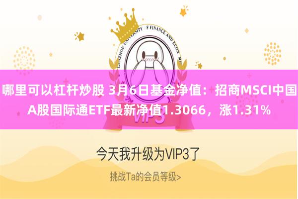 哪里可以杠杆炒股 3月6日基金净值：招商MSCI中国A股国际通ETF最新净值1.3066，涨1.31%