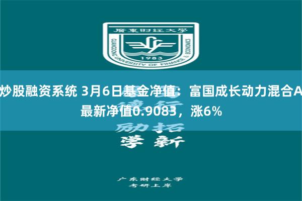 炒股融资系统 3月6日基金净值：富国成长动力混合A最新净值0.9083，涨6%