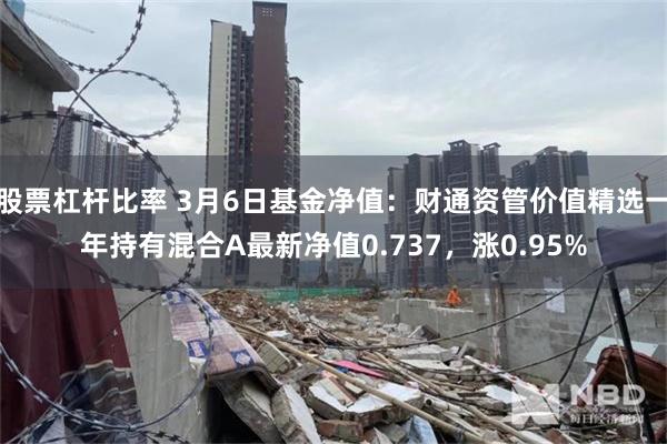 股票杠杆比率 3月6日基金净值：财通资管价值精选一年持有混合A最新净值0.737，涨0.95%
