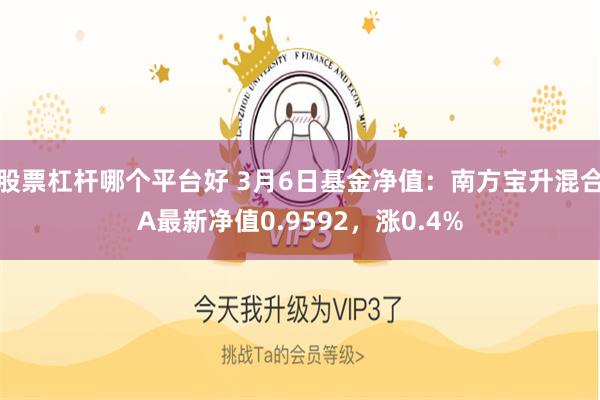 股票杠杆哪个平台好 3月6日基金净值：南方宝升混合A最新净值0.9592，涨0.4%