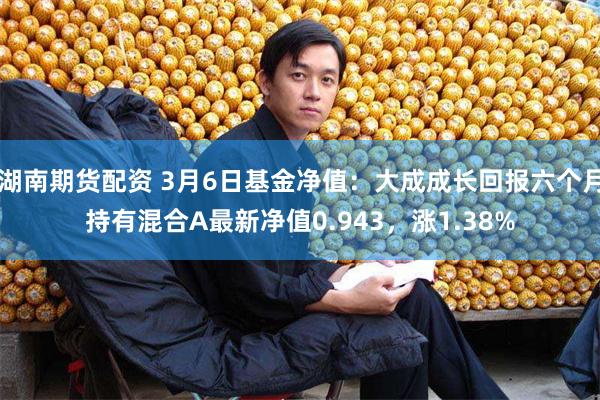 湖南期货配资 3月6日基金净值：大成成长回报六个月持有混合A最新净值0.943，涨1.38%
