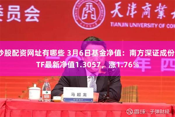 炒股配资网址有哪些 3月6日基金净值：南方深证成份ETF最新净值1.3057，涨1.76%