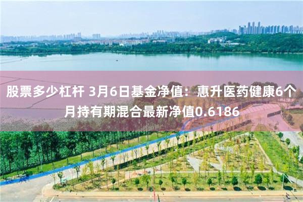股票多少杠杆 3月6日基金净值：惠升医药健康6个月持有期混合最新净值0.6186