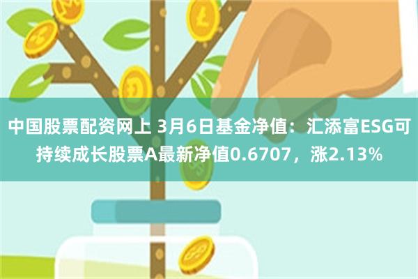 中国股票配资网上 3月6日基金净值：汇添富ESG可持续成长股票A最新净值0.6707，涨2.13%