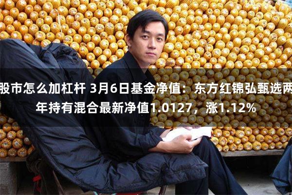 股市怎么加杠杆 3月6日基金净值：东方红锦弘甄选两年持有混合最新净值1.0127，涨1.12%