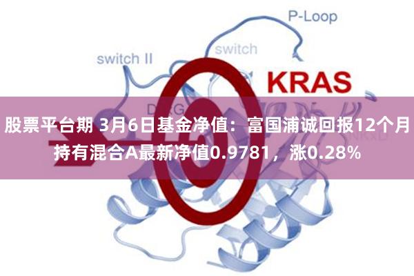 股票平台期 3月6日基金净值：富国浦诚回报12个月持有混合A最新净值0.9781，涨0.28%
