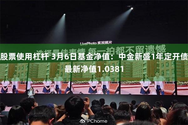 股票使用杠杆 3月6日基金净值：中金新盛1年定开债最新净值1.0381
