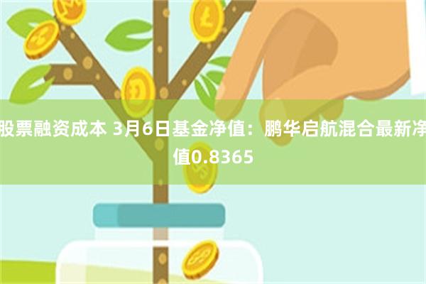 股票融资成本 3月6日基金净值：鹏华启航混合最新净值0.8365