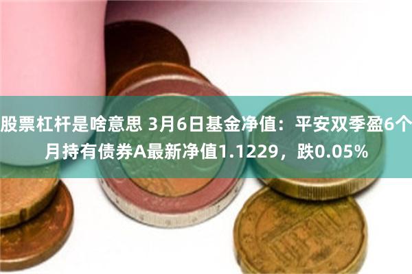 股票杠杆是啥意思 3月6日基金净值：平安双季盈6个月持有债券A最新净值1.1229，跌0.05%