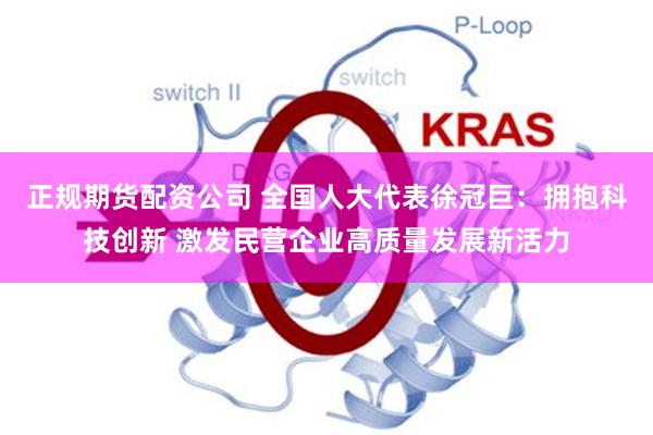 正规期货配资公司 全国人大代表徐冠巨：拥抱科技创新 激发民营企业高质量发展新活力