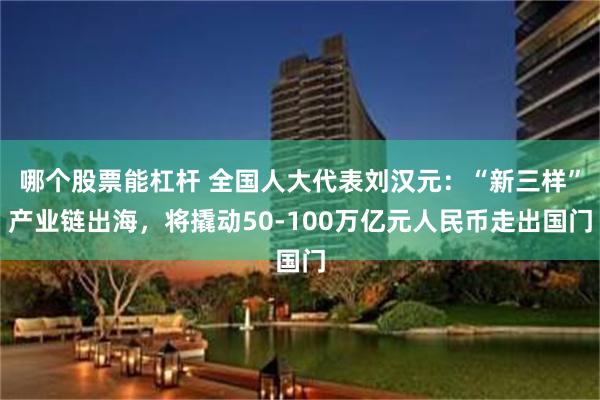 哪个股票能杠杆 全国人大代表刘汉元：“新三样”产业链出海，将撬动50-100万亿元人民币走出国门