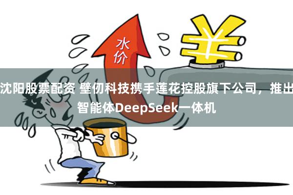 沈阳股票配资 壁仞科技携手莲花控股旗下公司，推出智能体DeepSeek一体机
