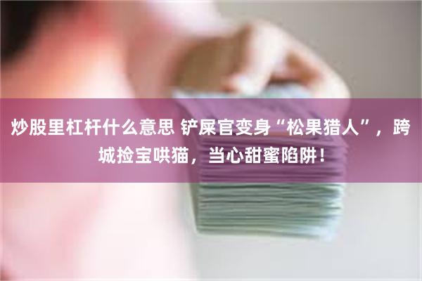 炒股里杠杆什么意思 铲屎官变身“松果猎人”，跨城捡宝哄猫，当心甜蜜陷阱！