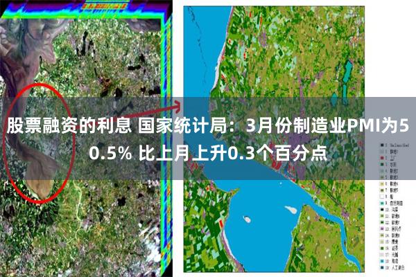 股票融资的利息 国家统计局：3月份制造业PMI为50.5% 比上月上升0.3个百分点