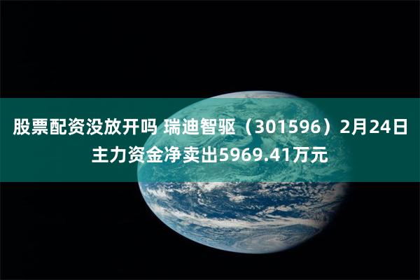 股票配资没放开吗 瑞迪智驱（301596）2月24日主力资金净卖出5969.41万元