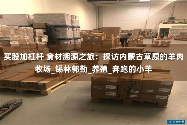 买股加杠杆 食材溯源之旅：探访内蒙古草原的羊肉牧场_锡林郭勒_养殖_奔跑的小羊