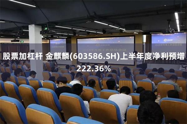 股票加杠杆 金麒麟(603586.SH)上半年度净利预增222.36%