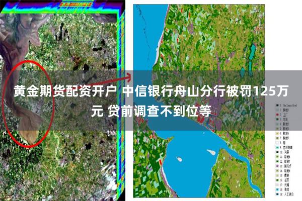 黄金期货配资开户 中信银行舟山分行被罚125万元 贷前调查不到位等