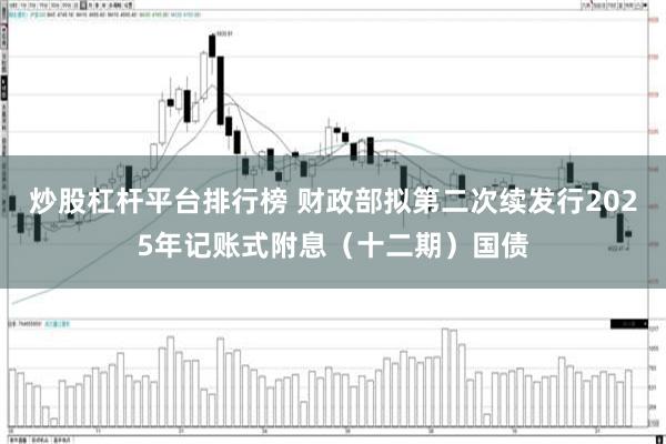 炒股杠杆平台排行榜 财政部拟第二次续发行2025年记账式附息（十二期）国债