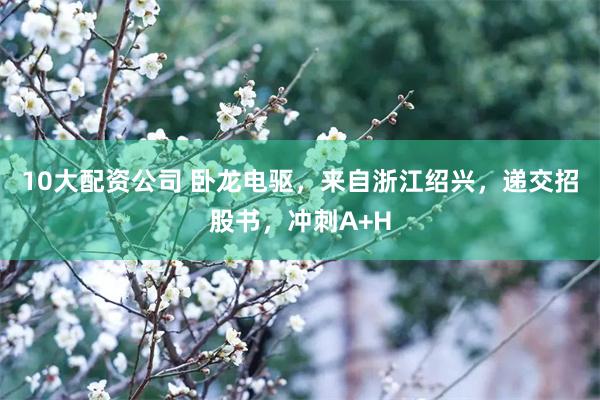 10大配资公司 卧龙电驱，来自浙江绍兴，递交招股书，冲刺A+H