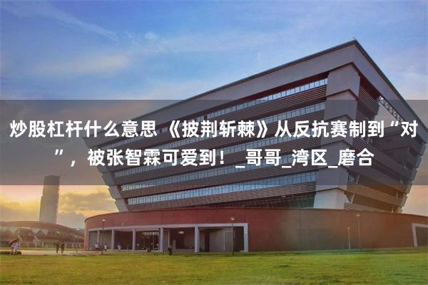 炒股杠杆什么意思 《披荆斩棘》从反抗赛制到“对”，被张智霖可爱到！_哥哥_湾区_磨合