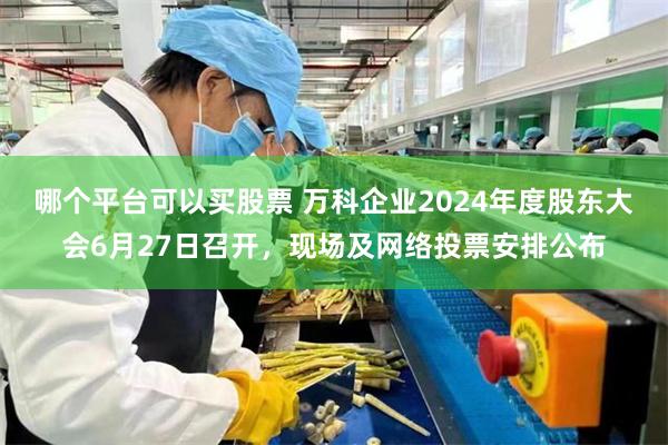 哪个平台可以买股票 万科企业2024年度股东大会6月27日召开，现场及网络投票安排公布