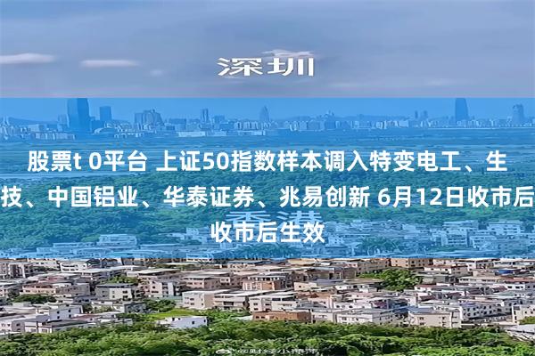 股票t 0平台 上证50指数样本调入特变电工、生益科技、中国铝业、华泰证券、兆易创新 6月12日收市后生效