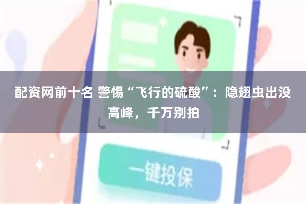 配资网前十名 警惕“飞行的硫酸”：隐翅虫出没高峰，千万别拍