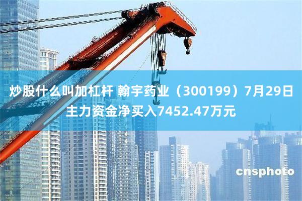 炒股什么叫加杠杆 翰宇药业（300199）7月29日主力资金净买入7452.47万元