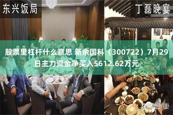 股票里杠杆什么意思 新余国科（300722）7月29日主力资金净买入5612.62万元