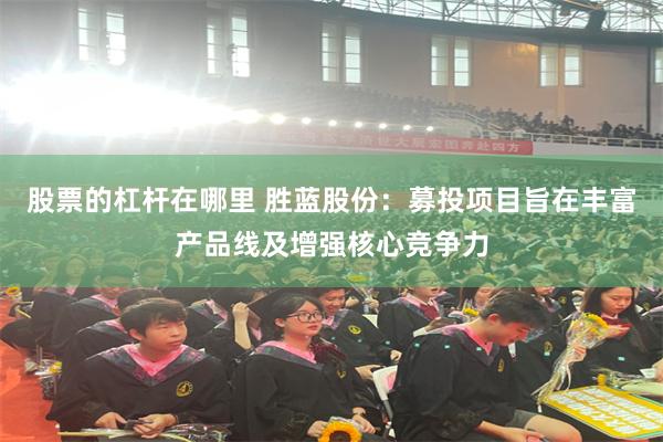 股票的杠杆在哪里 胜蓝股份：募投项目旨在丰富产品线及增强核心竞争力