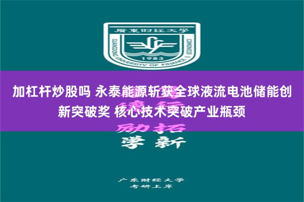 加杠杆炒股吗 永泰能源斩获全球液流电池储能创新突破奖 核心技术突破产业瓶颈