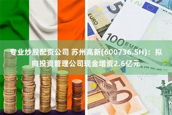 专业炒股配资公司 苏州高新(600736.SH)：拟向投资管理公司现金增资2.6亿元