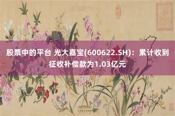 股票中的平台 光大嘉宝(600622.SH)：累计收到征收补偿款为1.03亿元