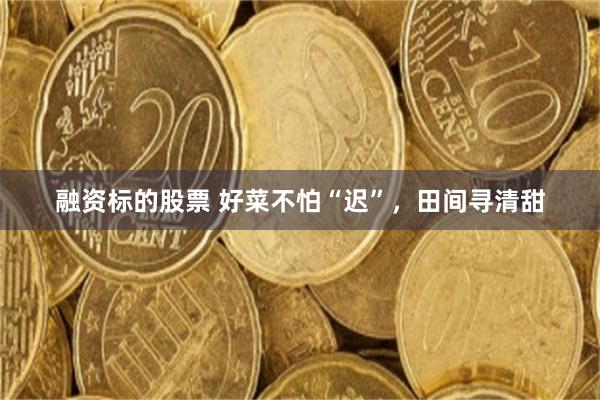 融资标的股票 好菜不怕“迟”，田间寻清甜