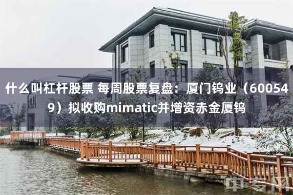 什么叫杠杆股票 每周股票复盘：厦门钨业（600549）拟收购mimatic并增资赤金厦钨