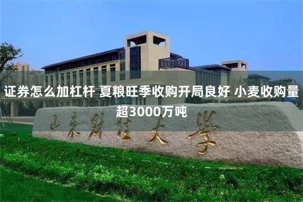 证券怎么加杠杆 夏粮旺季收购开局良好 小麦收购量超3000万吨